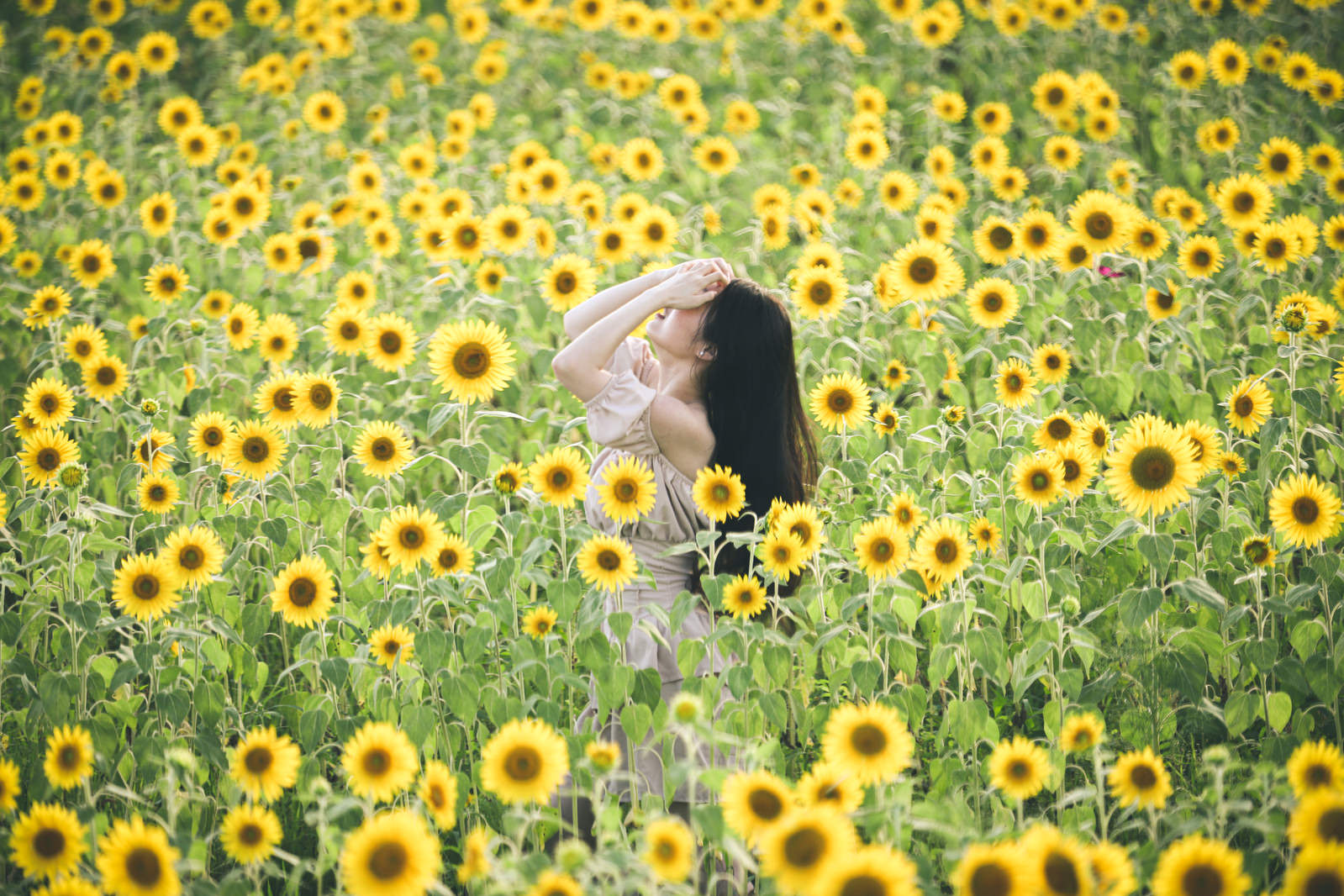 shikun81421087_TP_V